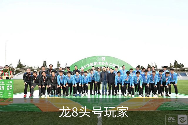 龙8头号玩家公司简介图片